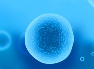 為什么要用微生物菌劑？市場(chǎng)肥料多，如何挑選好的微生物菌劑產(chǎn)品？